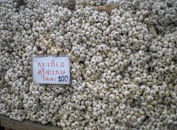 garlic in bangkok thailand