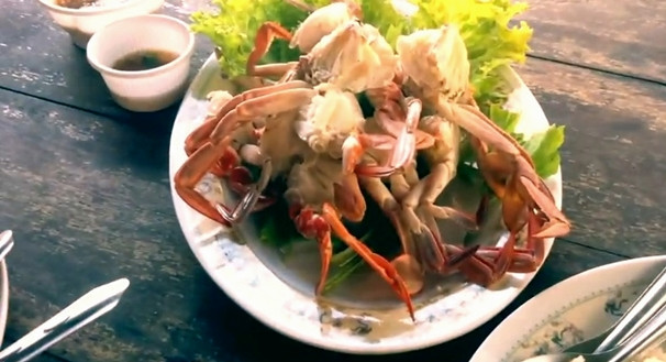 fresh crab thailand