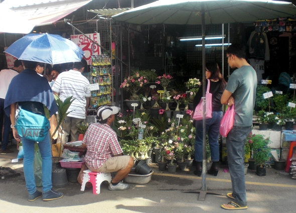 Chatuchak market flowers New Year 2012