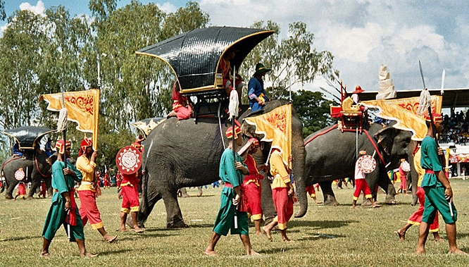 surin elephant festival