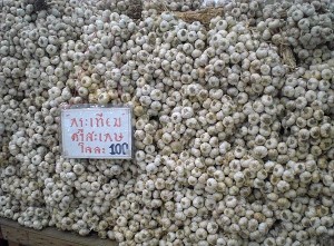 garlic in bangkok thailand