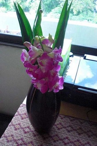 orchids bangkok