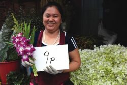 cheap flowers