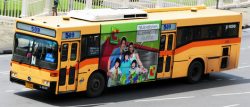 bangkok bus