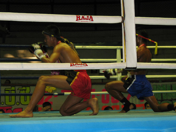 muay thai chiang mai today