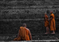 novice monks chiang mai