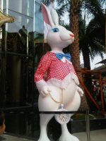 siam paragon rabbit