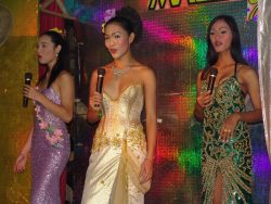 ladyboy