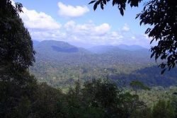 malaysia national parks