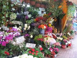 stanley market hong kong