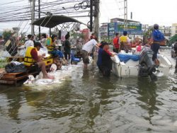 floods bangkok