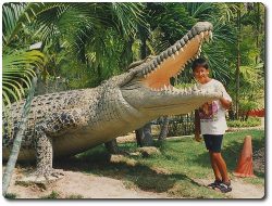 holidays in phuket