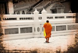 monk at grand palace bangkok