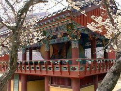 seoul korea