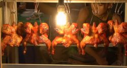 thai street food roast chickens