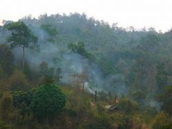 chiang mai fires