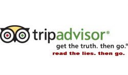 trip advisor