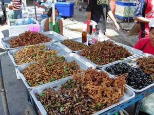 edible insect market thailand