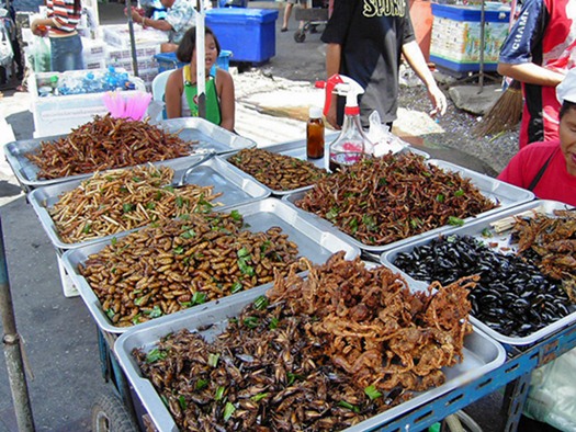 edible insect market thailand