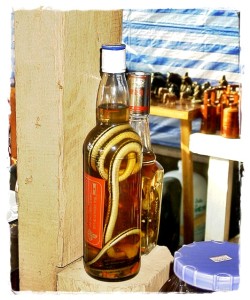 thai snake in a whisky bottle