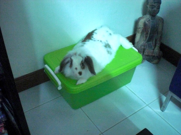 yes i'm very comfortable i've already told you