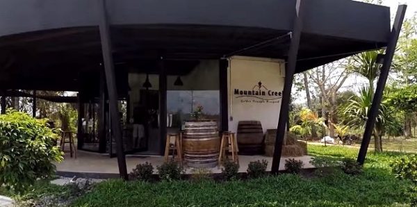 Mountain Creek Vineyard Chiang Saen cafe