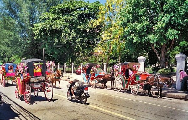 horse carriages lampang