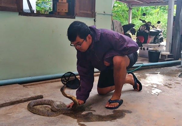 Thai snake charmer