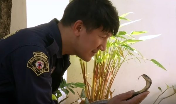 Thai firefighter with snake
