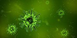 Wuhan virus Thailand