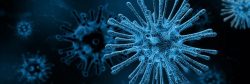 virus 2