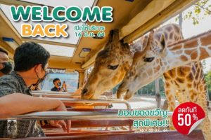 Chiang Mai Night Safari reopening