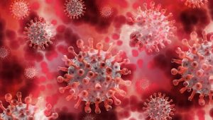 Delta variant of Covid-19 virus