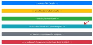 Expats in Phuket without work permit Covid vaccination